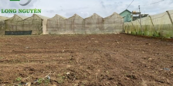 CẦN BÁN 3 LÔ LIỀN KỀ TẠI TT.Thạnh Mỹ-Đơn Dương (ven Đà Lạt)