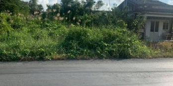 Bán Nền: Rạch Rắn, Long Điền, Đông Hải. Bạc Liêu