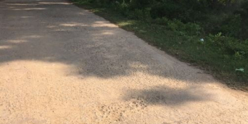 Chủ cần tiền bán giá sập sàn lô Nghĩa Ninh Đồng Hới giá siêu rẻ