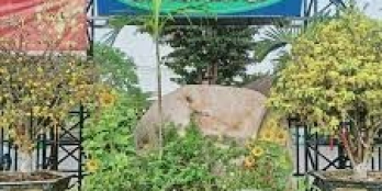 Xoay tiền chu cấp cho con du học Mỹ bán gấp đất cách Coopmart Đồng Phú 1km