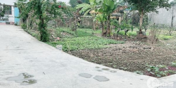 Đất ở 100% Ngay Tại Đông Yên Đông Sơn