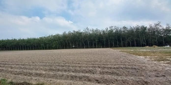 E có nhiều nguồn đất thích họp phân lô.  Giá từ 32 trieu đến 65tr/m khu vực dươn