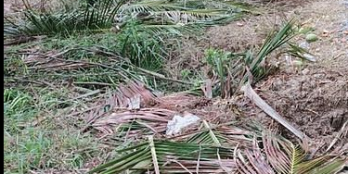 Đất giáp mặt tiền tỉnh lộ, gần chợ, trường học