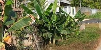 Cần bán đất mặt tiền quốc lộ 57c , xã sơn phú, diện tích 590m2