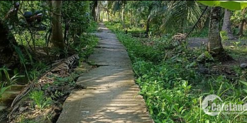 Đất nền thuộc xã Châu Hòa Giồng Trôm, Bến Tre 560m2