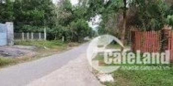 Bán Gấp !CẦN BÁN LÔ ĐẤT NHÀ VƯỜN 1150M2