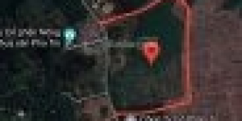 Bán 9 héc ta (90.000m2) đất trồng cây lâu năm xã Hòa Phú, Hòa Vang