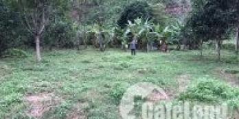 Bán siêu phẩm mặt tiền QL14G - Hoà Phú - Hòa Vang - Đà Nẵng