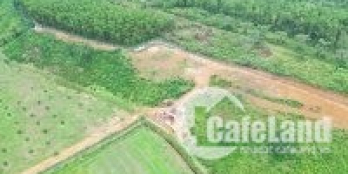 QUỸ ĐẤT HƠN 52.000m2,Hòa Vang, Đà Nẵng