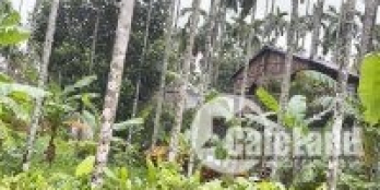 473m2 view suối có 150m2 đất ở tại Hoà Ninh giá chỉ 1.65 tỷ