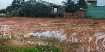 Sang phiếu đấu giá ,chỉ còn 1lô  duy nhất lô 41 đệ đức 3