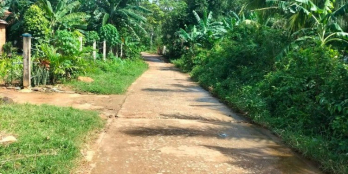 Chủ cần tiền bán gấp lô đất đập ngăn mặn định trị  hoài mỹ,đường bê tông