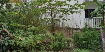 Lô đất đẹp hẻm oto Nguyễn Duy Hiệu.