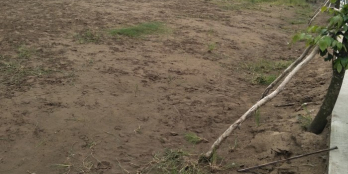 Đất nền thổ cư, ngay kcn Cầu Tràm-Đã có sổ hồng-440TR