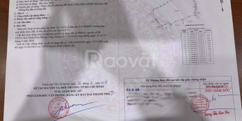 sắm đồ tết bán đất bà cả-đường xe tải chạy viva vivu - Chiều ngang 38 m