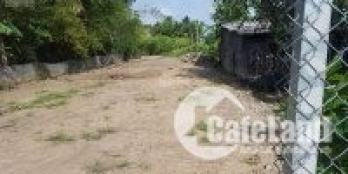 DT 280m2 đất Bình Chánh, SHR, cam kết chính chủ-BÀU GỐC