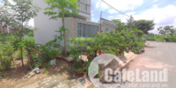 BÁN ĐẤT BÀU GỐC - Đường trước đất 8m-BÌNH CHÁNH