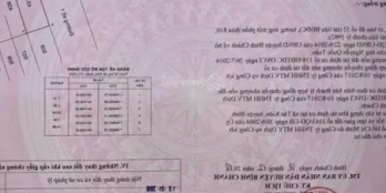 Ngộp! Lô góc 100m2 cần ra nhanh lô, đất đầu tư trước dịch -BÀU GỐC