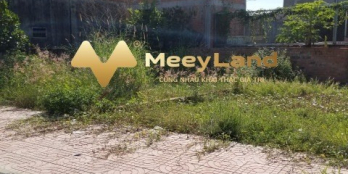 Đất ở đã có thổ cư hướng Nam có vị trí đường chính, rộng 8m-BÀU GỐC