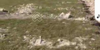 chủ gửi bán 4.500m2 đất Vĩnh Lộc A, Bình Chánh TP HCM SHR 16 tỷ