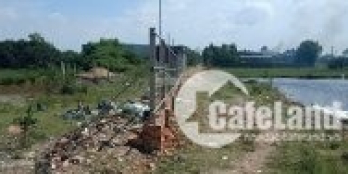 đát mua bán vi bằng-HH môi giới 3% Đường Kênh Trung Ương, Xã Vĩnh Lộc A