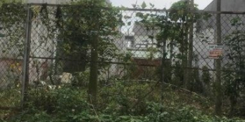 Bán đất 8,2x30 sổ hồng riêng ngay chợ xã Vĩnh Lộc A huyện Bình Chánh TP HCM