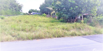 Tôi bán đất rẻ nhất Trung Lập Hạ 20x40 gần mặt tiền TL2 giá 1,55 tỷ SHR