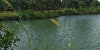 View hồ nghỉ dưỡng km 24 krông păk, đăk lăk