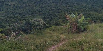 Chính chủ cần bán nhanh nô đất DT 1het8 với giá 1tỷ3