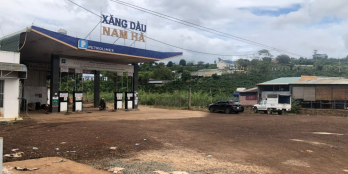 1000m2 đất sẵn thổ cư chỉ 950tr tại Lâm Đồng