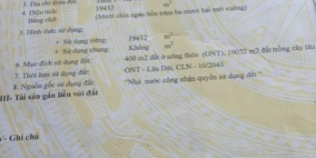 Cần bán đất thổ cư tại Lâm Hà xã Tân Thanh giá rẻ