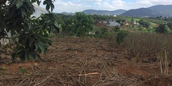 Chính chủ cần bán nhanh lô đất nhựa giá rẻ với diện tích 483m2