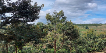 Chính chủ cần bán 12ha đất chỉ với giá 25tỷ tại Tân Thanh Lâm Hà