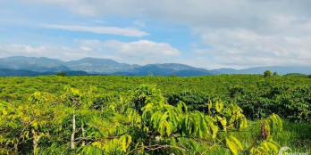 Cần bán lô đất giá rẻ chỉ với 2ty850 sở hữu lô đất 10600m2