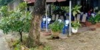 Bán hai lô liền kề mặt tiền Trần Đình Tri (có bán lẻ từng lô)