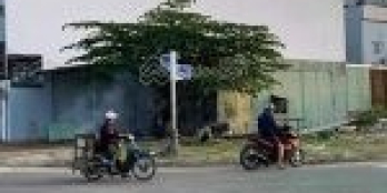 Bán lô góc Bùi Tấn Diên và Phước Lý 15 - Hoà Minh - Liên Chiểu, giá đầu tư