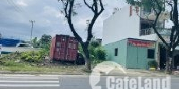 Chính chủ bán đất đường Trần Nguyên Đán - Đường 10m5