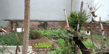 Đất vàng Phúc Lợi, tiện ích Ecohome,52m,mặt tiền 3,7m, nhỉnh 2 tỷ