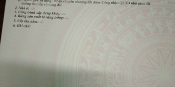 Nền Giá Rẽ Bèo  500 mét CLN Xã Long Phước Vĩnh Long cho ace