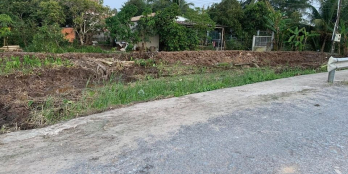 Đất nền đẹp Tân Hạnh thích hợp xây dựng biệt thự, nhà xuởng..