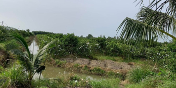 20 công đất ruộng + vườn , mặt tiền 34m giá ưu đãi cuối năm