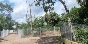 Siêu phẩm dành cho quý khách đầu tư nghỉ dưỡng