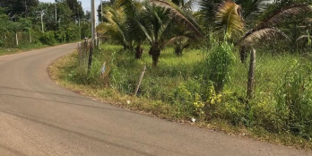 3,6 xào. (3600m2)-2 mặt tiền đường - nhựa Lát chiếu-Bảo Quang.