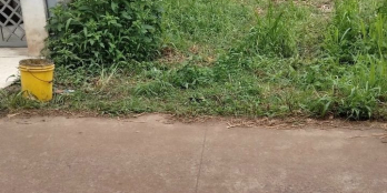 Hot hot Kèo thơm xuất hiện DT:10x26