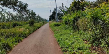 Đất ngay sau trạm dừng chân Lê Hoàng cách quốc lộ 1A