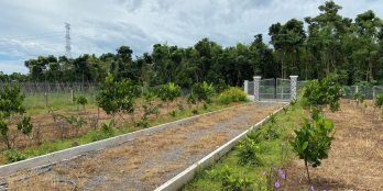 Cần bán 9 sào mít bảo Quang Đường oto vào tới đất 