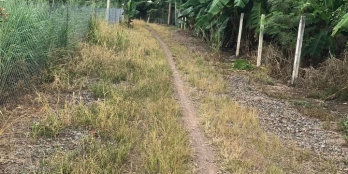 1,2 xào. Ngang 23 dài 56. Sổ Hồng riêng.