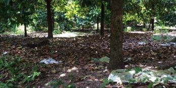 Mở bán 4 lô đất nền full thổ cư.   DT: 5x 30 Sổ hồng riêng, thổ cư 95m