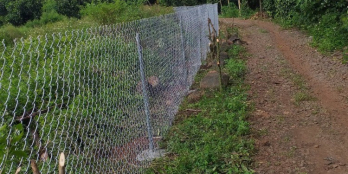 bán Đất Bàu Cối- Long Khánh 550tr/Sào