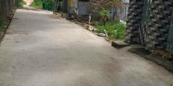 Xin chào anh chị  Gia đình em cần bán lô đất ở An phước cách quốc lộ 200m tới đấ